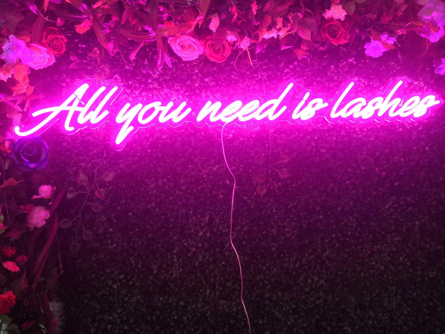 All You Need is Lashes Neon Sign