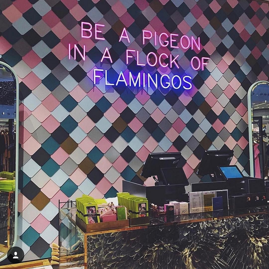 Be a Pigeon in a Flock of Flamingos Neon Sign
