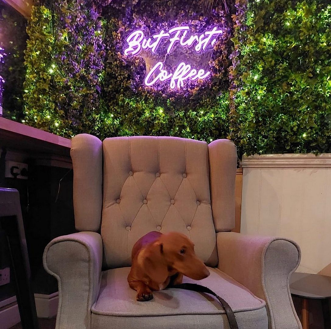 But First, Coffee Neon Sign