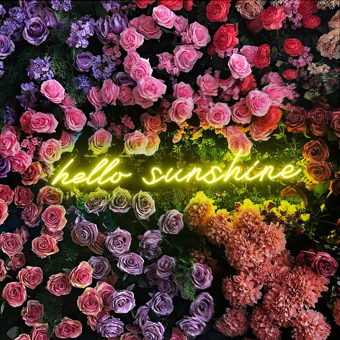 Hello Sunshine Neon Sign