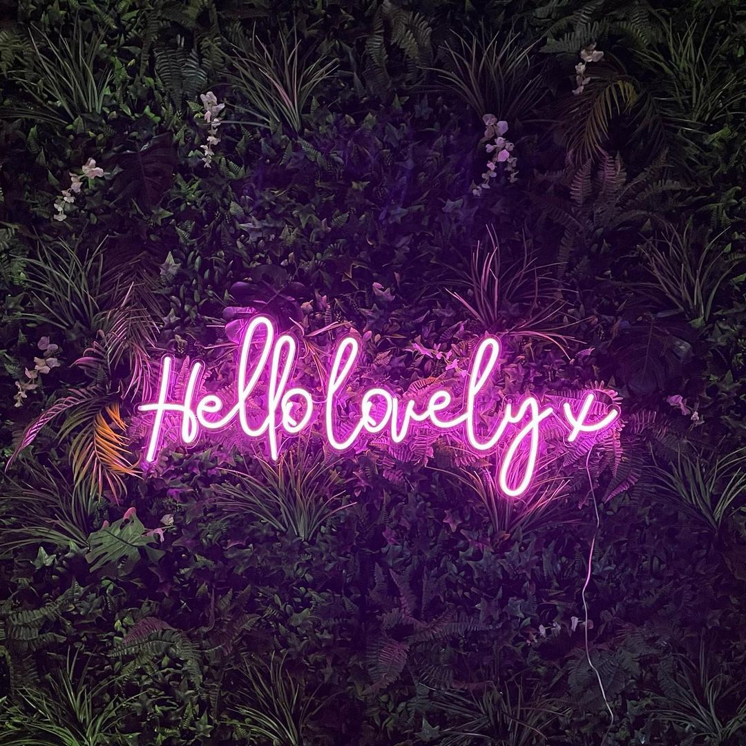 Hello lovely Neon Sign
