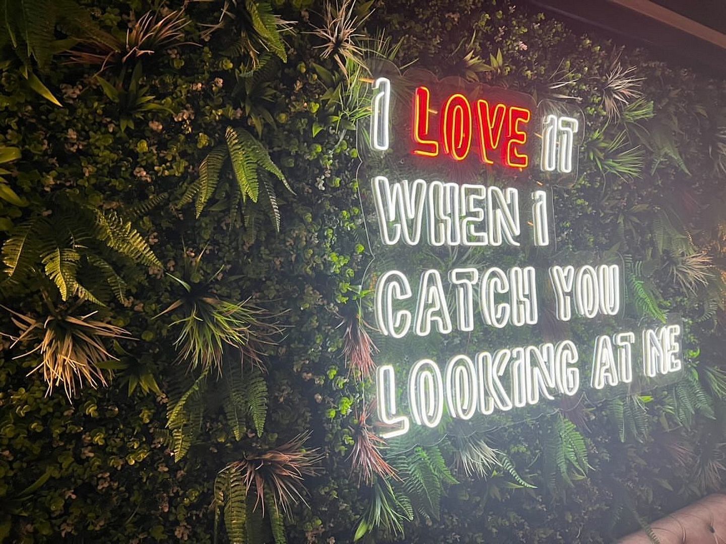 I Love it When i Catch You Looking At Me Neon Sign