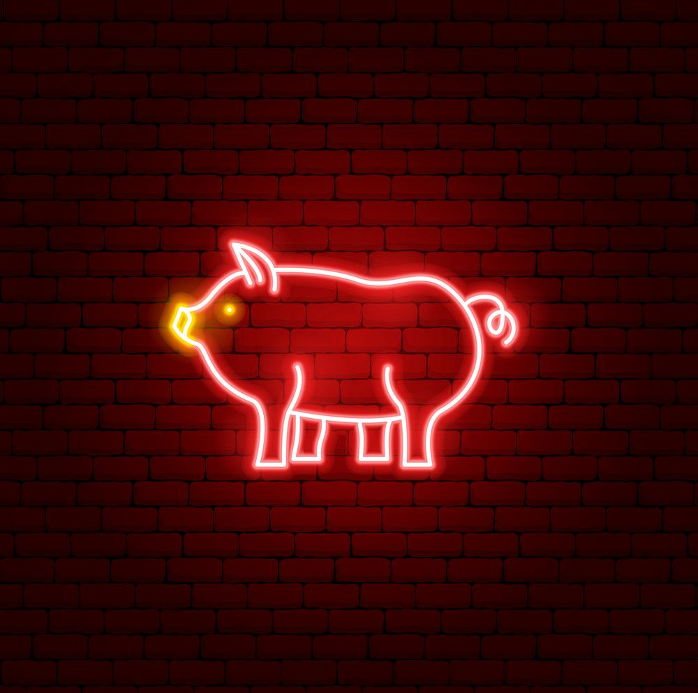 Pig Chinese Zodiac Neon