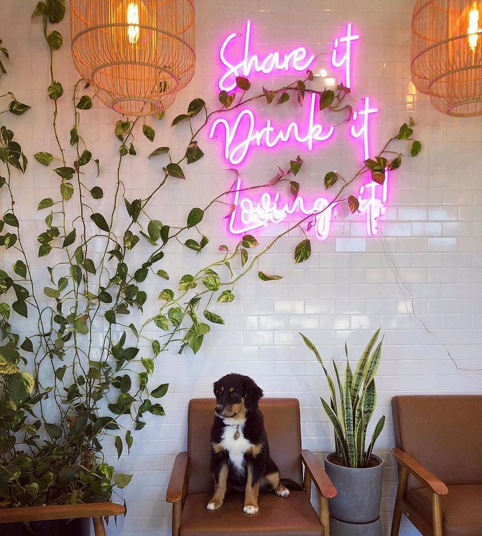 Share it Drink it Losing it Neon Sign