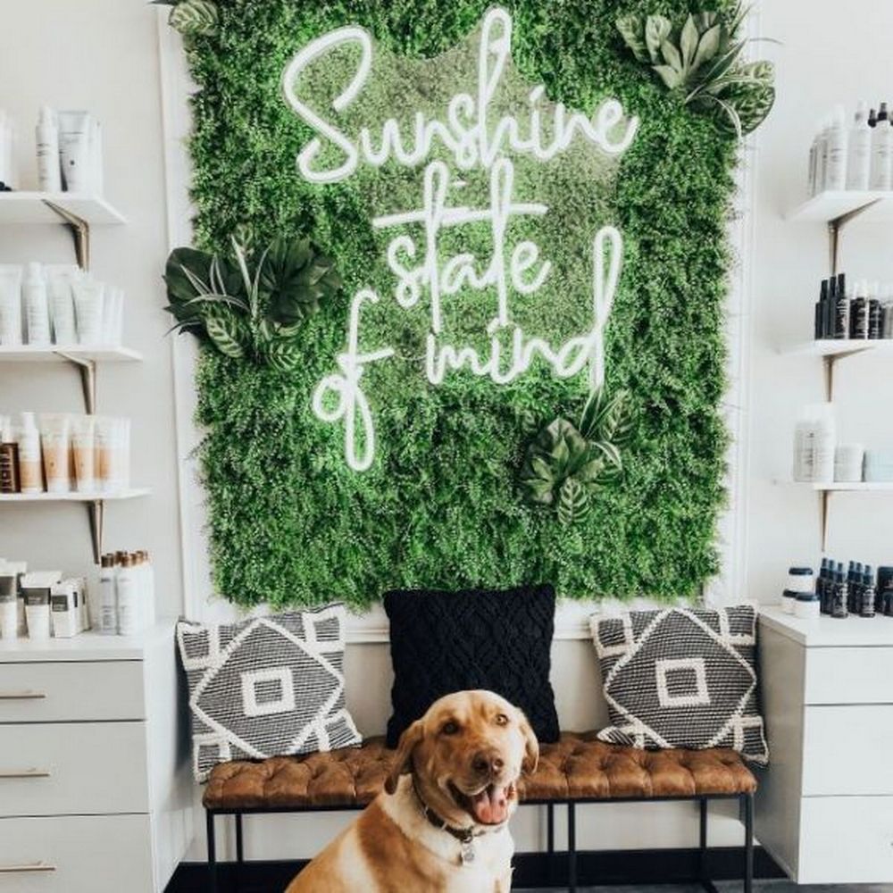 Sunshine State of Mind Neon Sign
