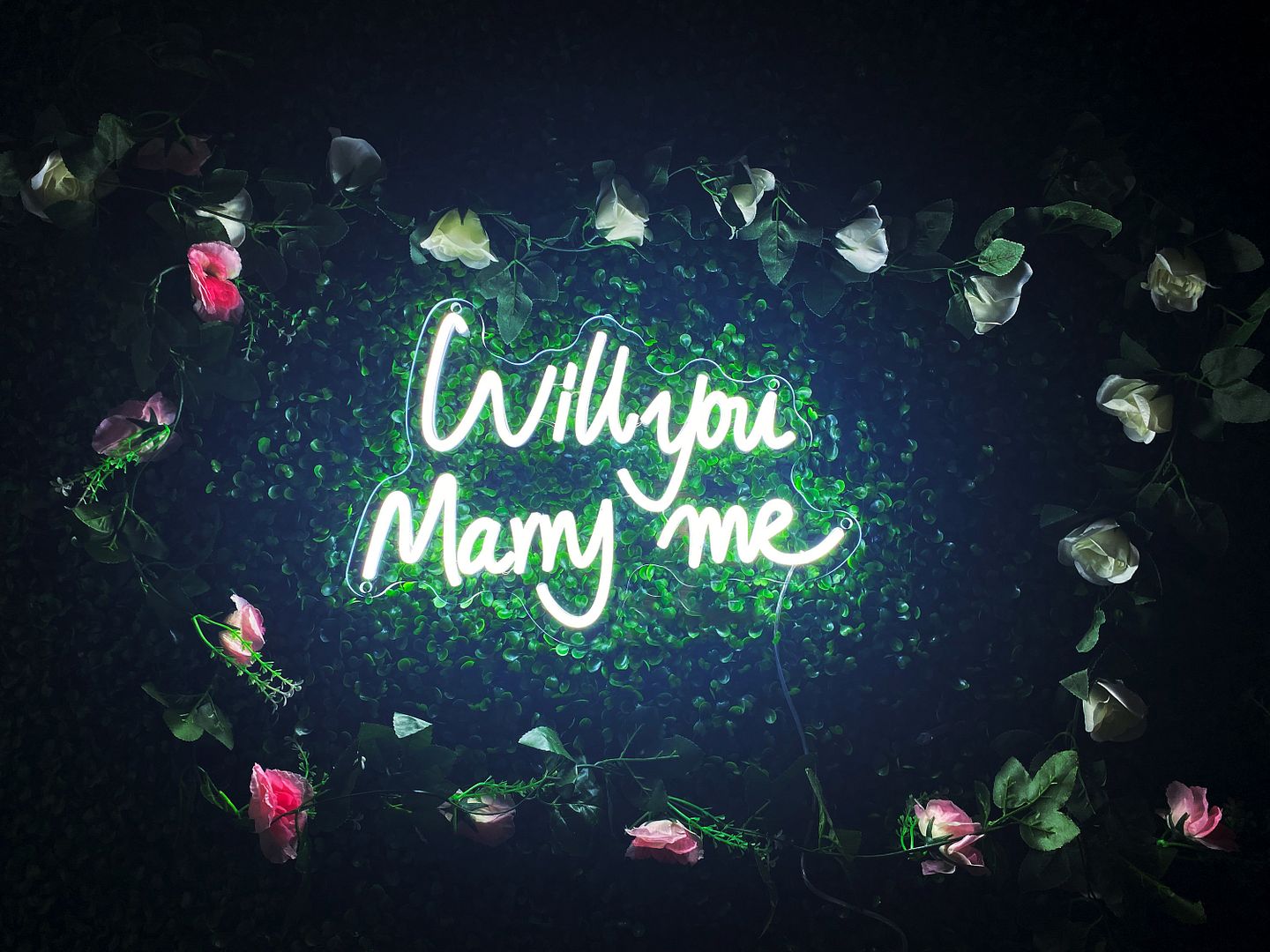 Will You Marry Me Neon Sign