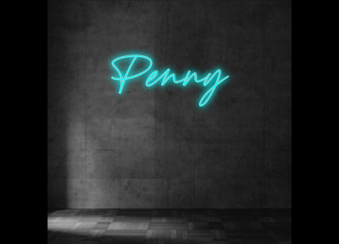 Custom Neon Sign Penny