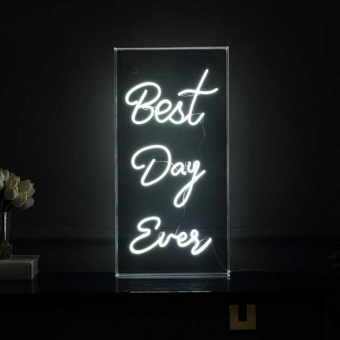 Best Day Ever Acrylic Neon Light Box