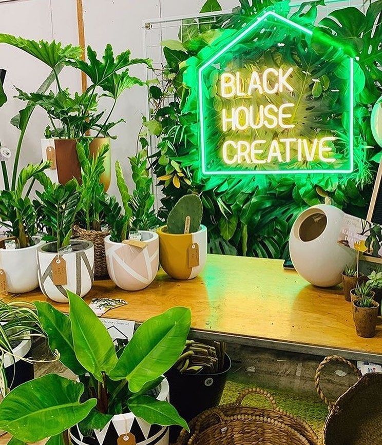 Black House Creative Neon Sign