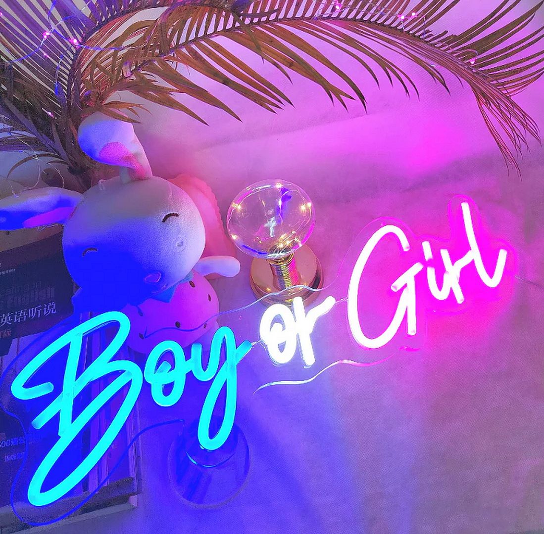 Boy Or Girl Neon Sign