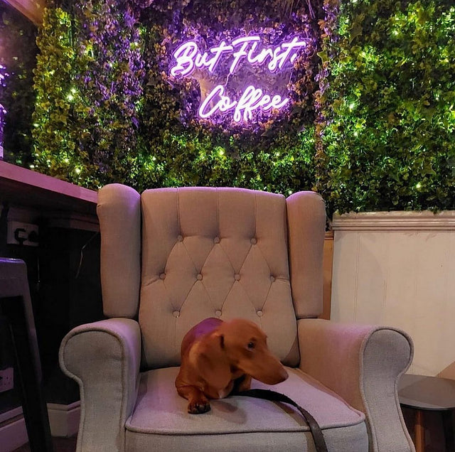 But First light up sign