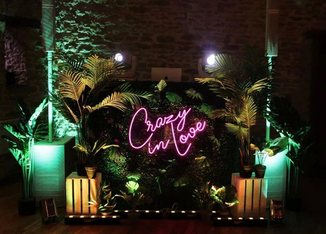 Crazy in Love LED Neon Sign light up sign