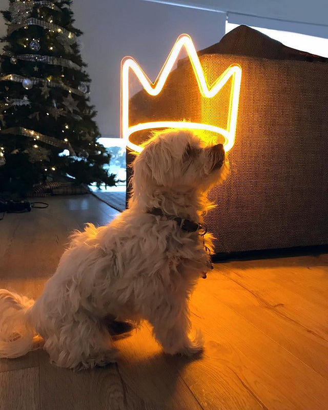 Crown LED Neon Sign for Photo Booth light up sign