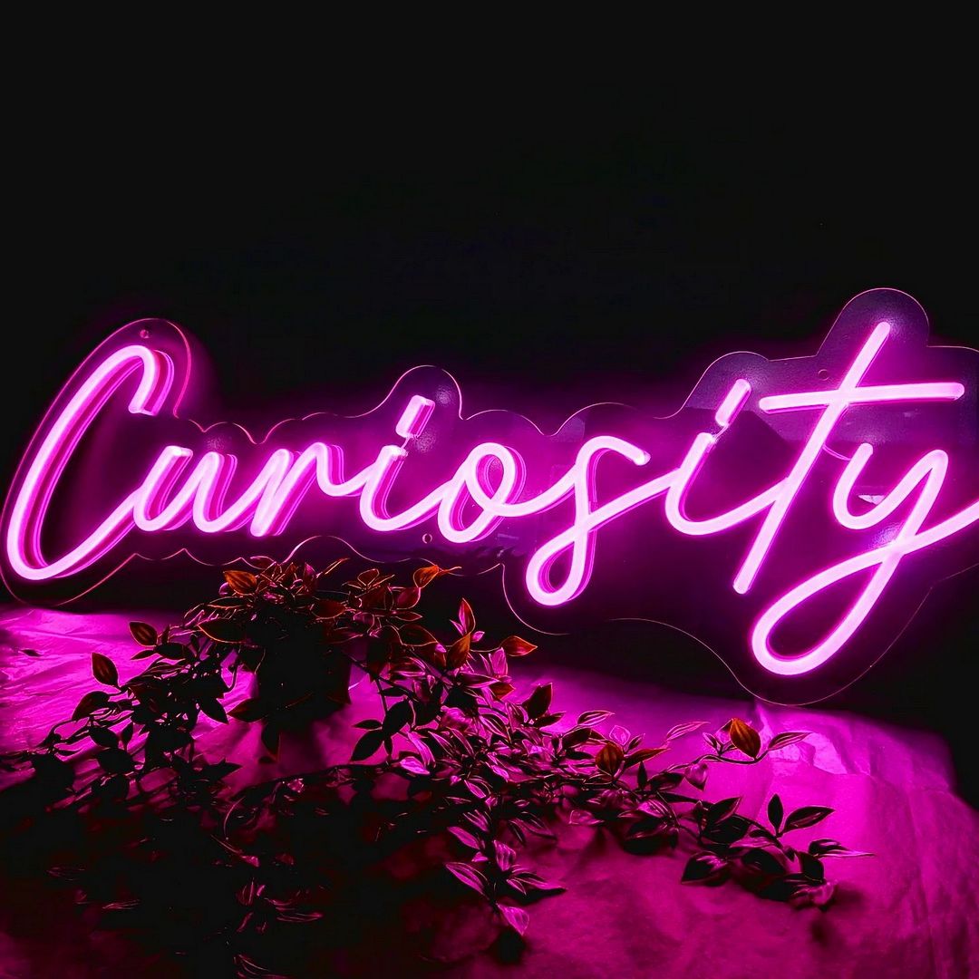 Custom Made Neon Signs, Curiosity Neon Sign, LED Business Sign – AOOS
