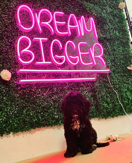 Dream Bigger Neon Sign