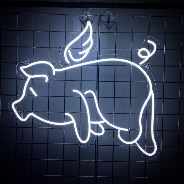 Flying Pig LED Neon Sign, Side Fly Outline – AOOS