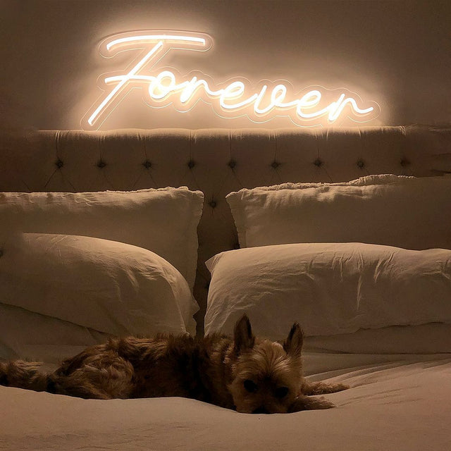 Forever LED Neon Sign light up sign