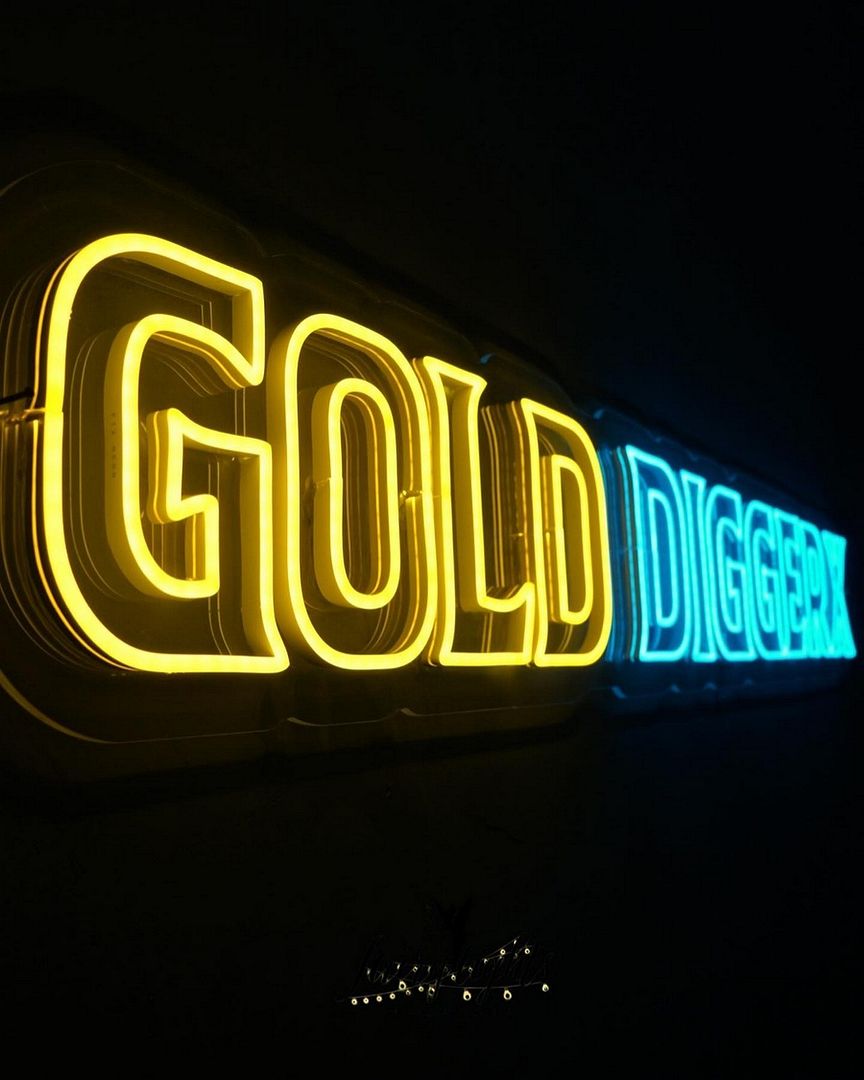 Custom Made Neon Signs, Gold Digger Neon Sign, LED Business Sign – AOOS