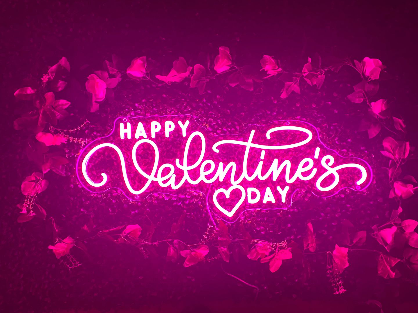 Happy Valentine's Day Neon Sign