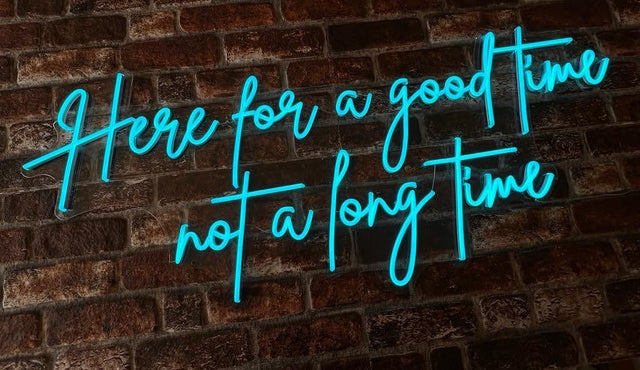Here for a Good Time Not a Long Time LED Neon Sign light up sign