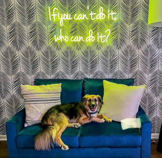 If You Can't Do it Who Can Do it Neon Sign