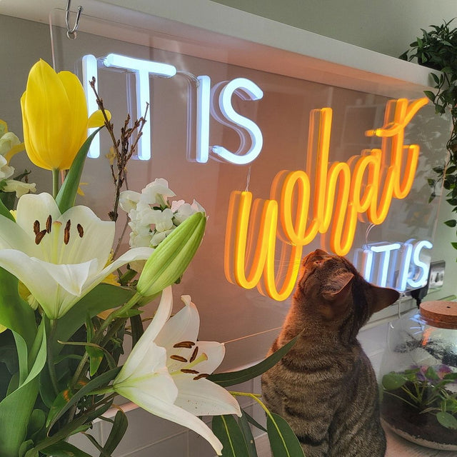 It is What it is LED Neon Sign for Wedding light up sign