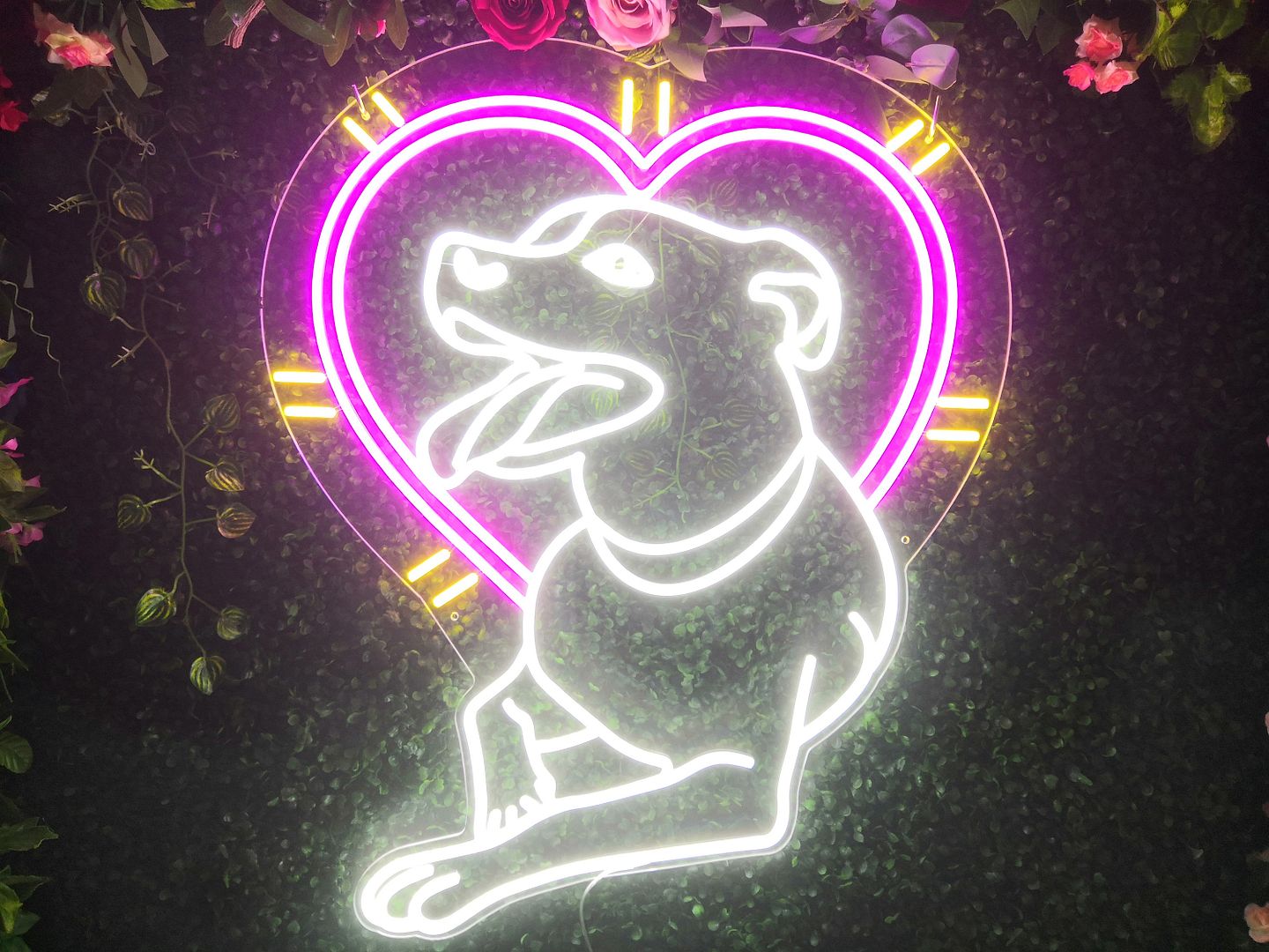 Jack Russell Terrier Dog Neon Sign