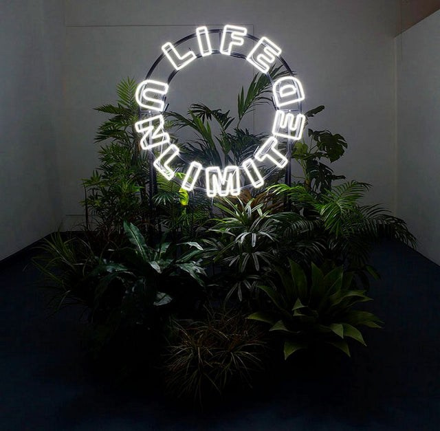 Life Unlimited LED Neon Sign light up sign