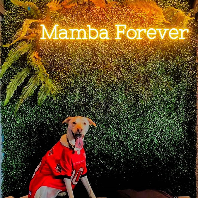 Mamba Forever LED Neon Sign for Storefront light up sign