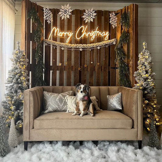 Merry Christmas Neon Sign