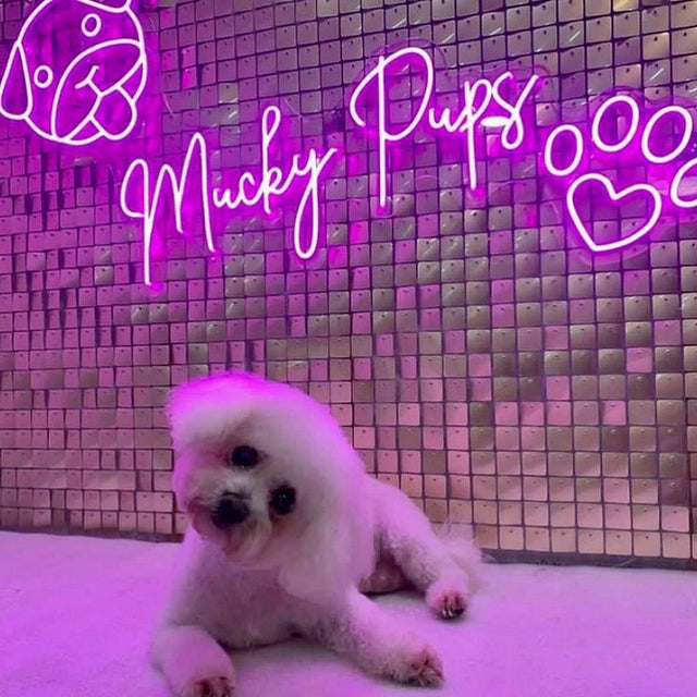 Mucky Pups LED Neon Sign for Storefront light up sign