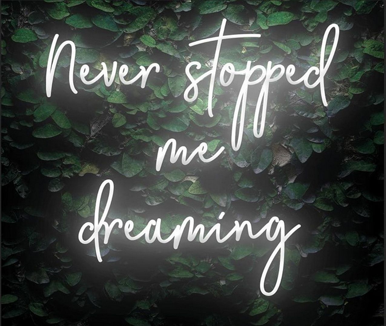 Never Stopped Me Dreaming Neon Sign