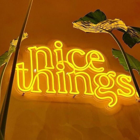 Nice Things Neon Sign