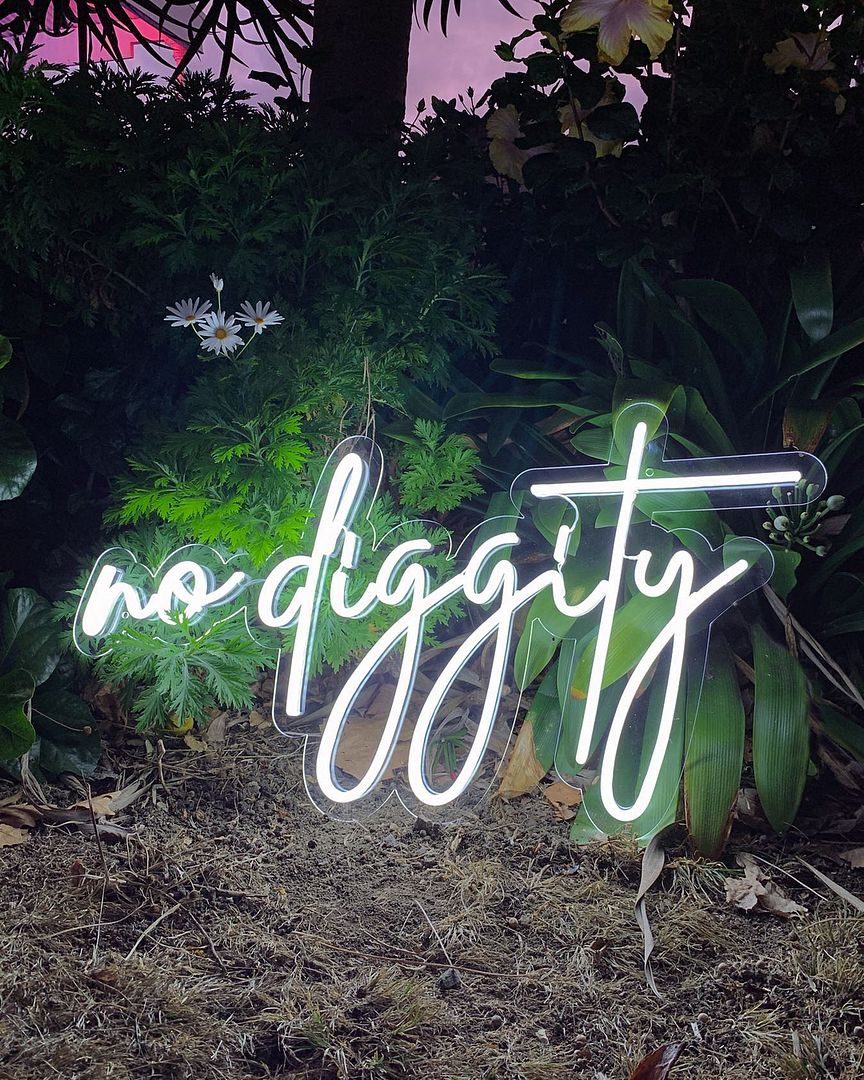 No Diggity Neon Sign AOOS
