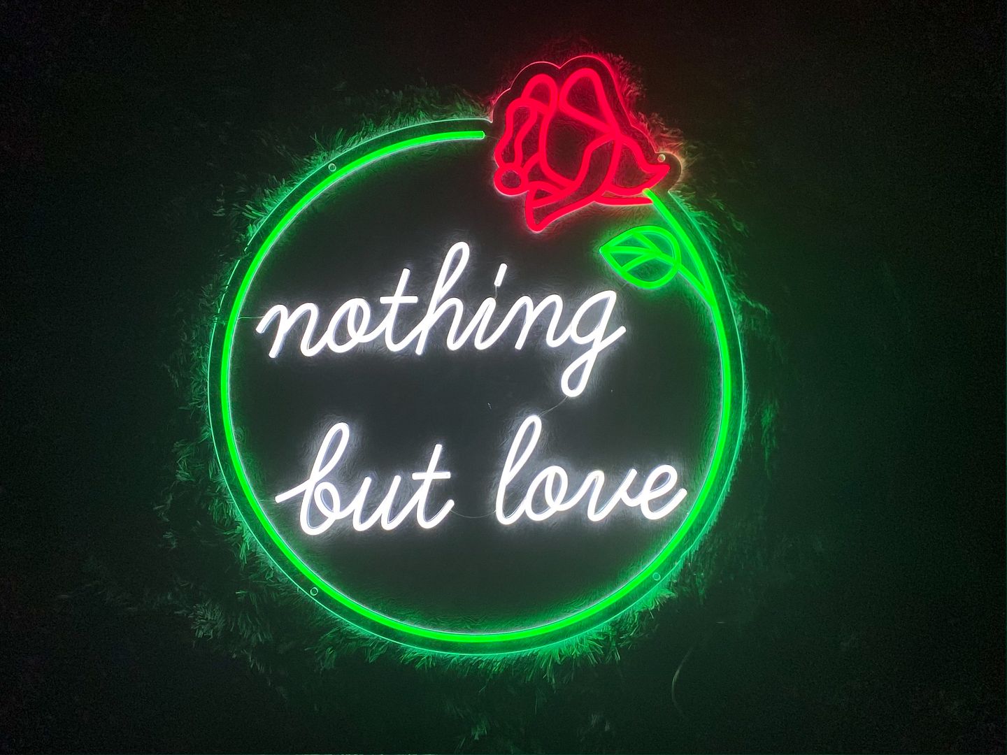 Nothing But Love Neon Sign