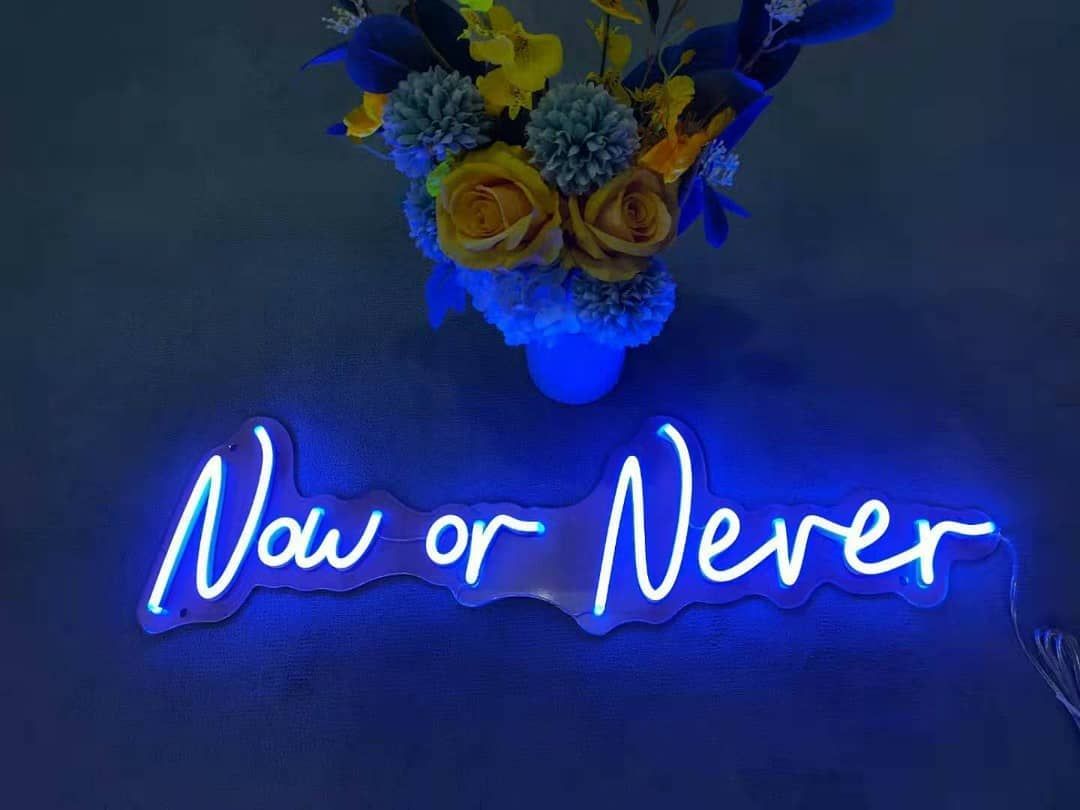 Custom Made Neon Signs, Now or Never Neon Sign, LED Business Sign