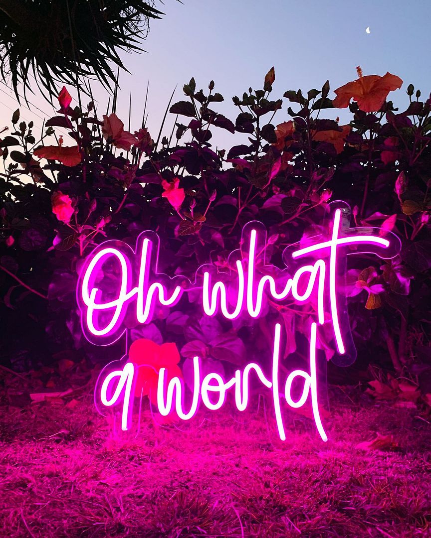 Oh What a World Neon Sign