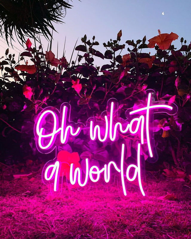 Oh What a World LED Neon Sign light up sign