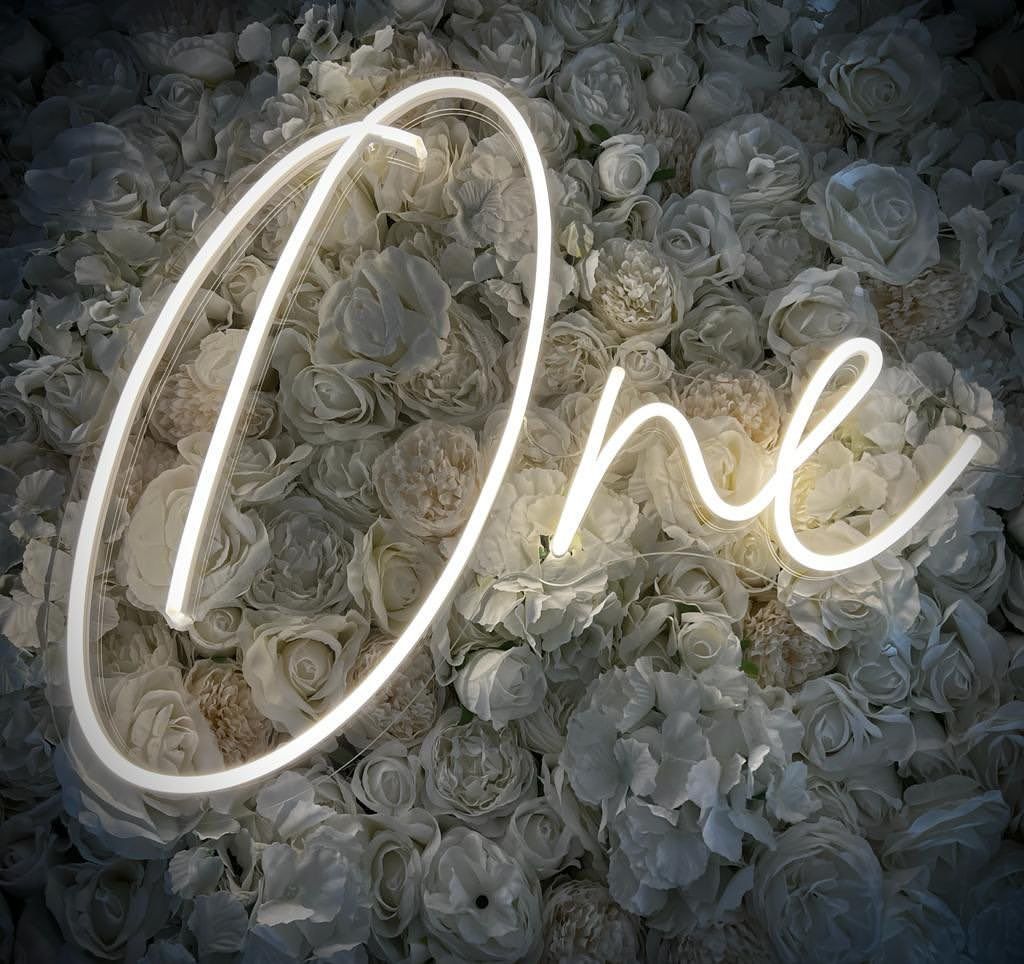 Custom Made Neon Signs, One Neon Signs, Neon Lights, LED Neon Signs for ...