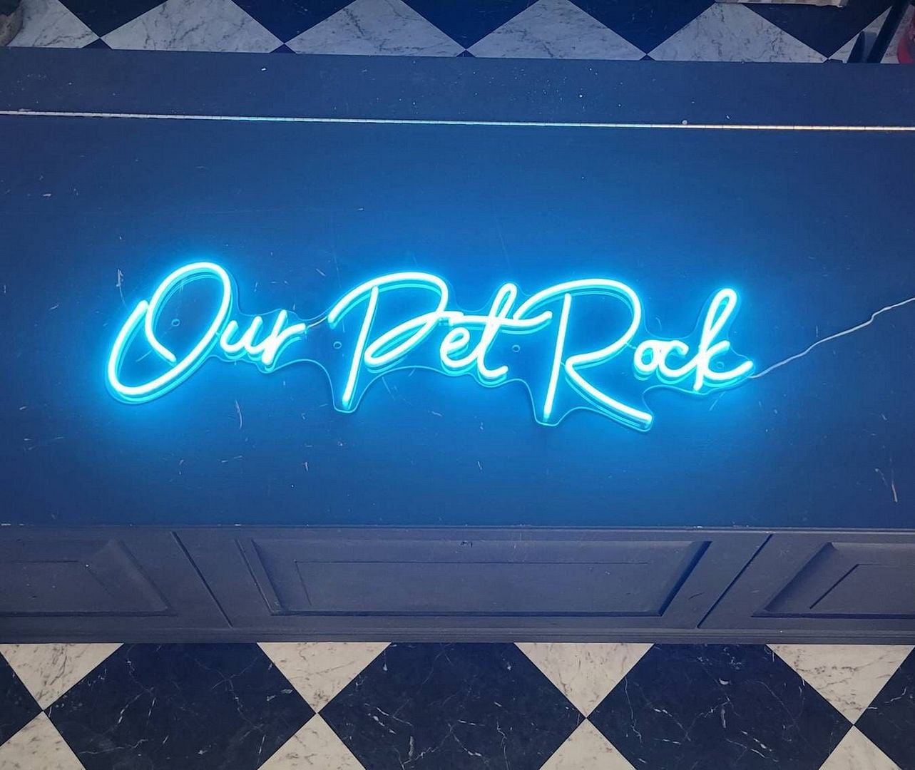 Our Pet Rock Neon Sign