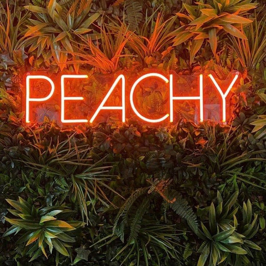 Peachy Neon Signs, Neon Lights, LED Neon Signs for Room, Bars Light Up Signs, Cool Neon Light Signs, Neon Wall Lights