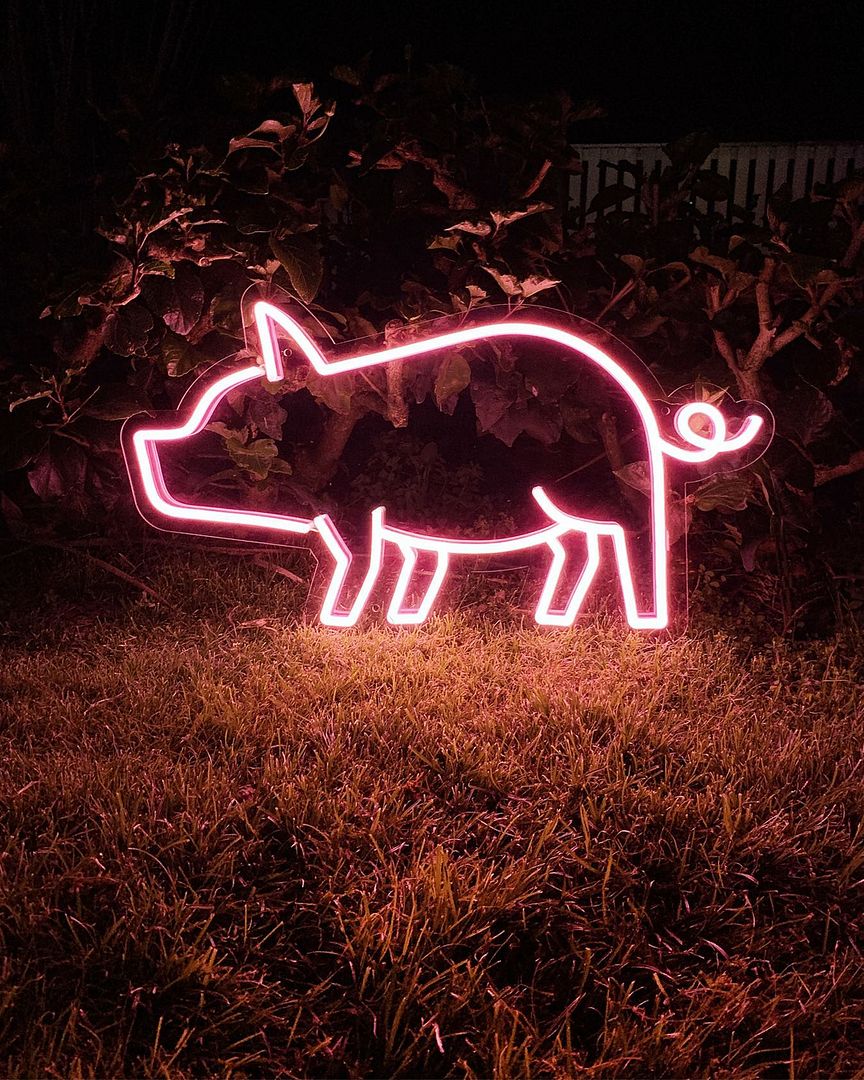 Pig Neon Sign