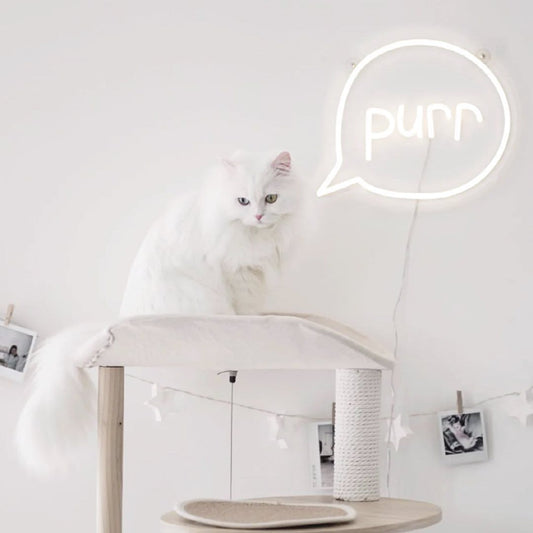 Purr Cat Neon Signs, Neon Lights, LED Neon Signs for Room, Bars Light Up Signs, Cool Neon Light Signs, Neon Wall Lights