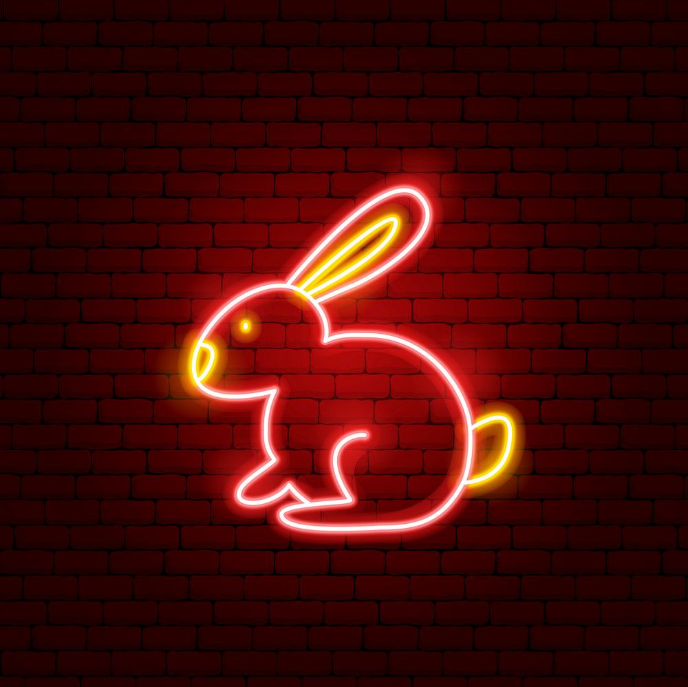 Rabbit Chinese Zodiac Neon Sign