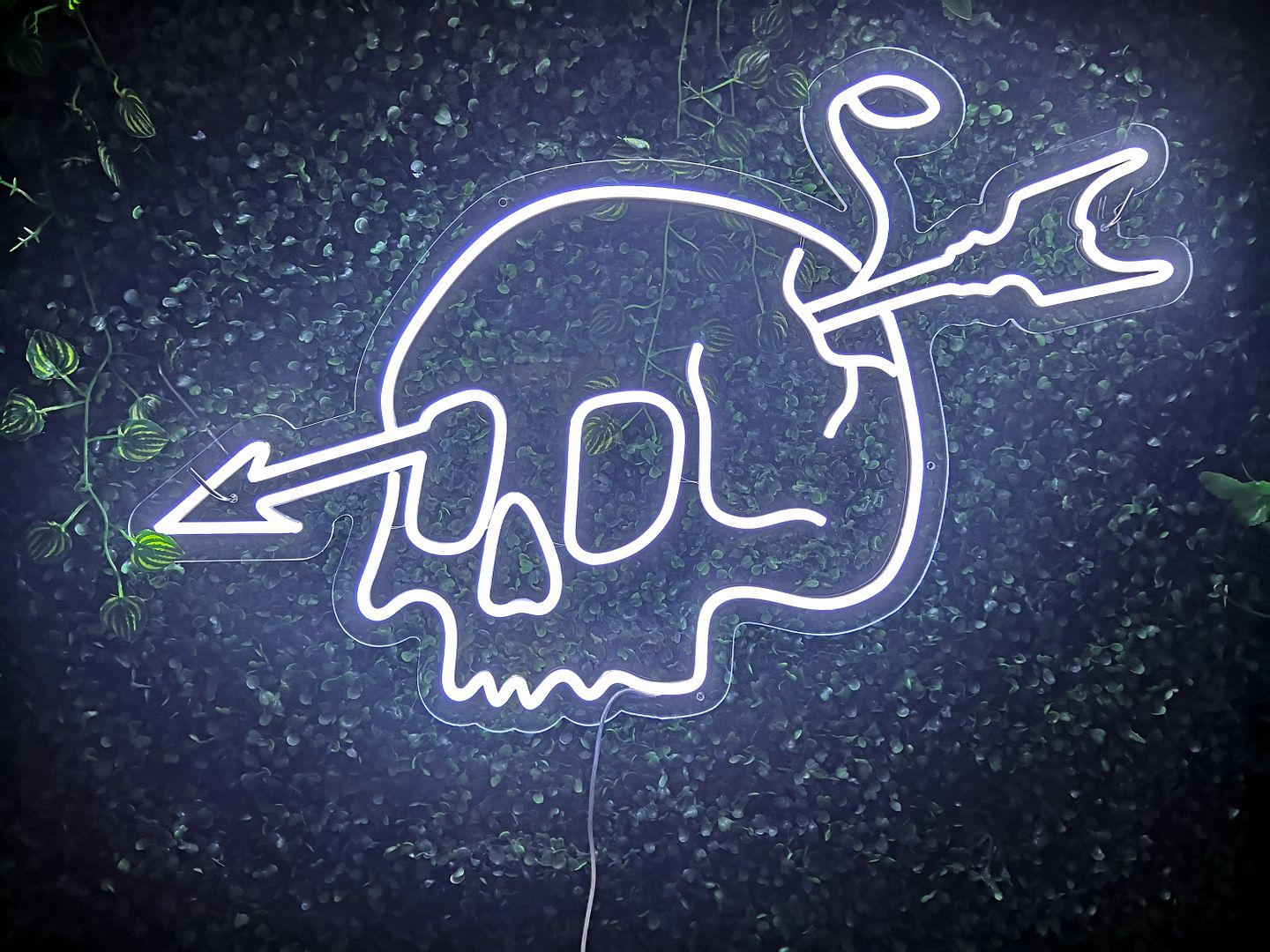 Skull with Arrow Neon Sign