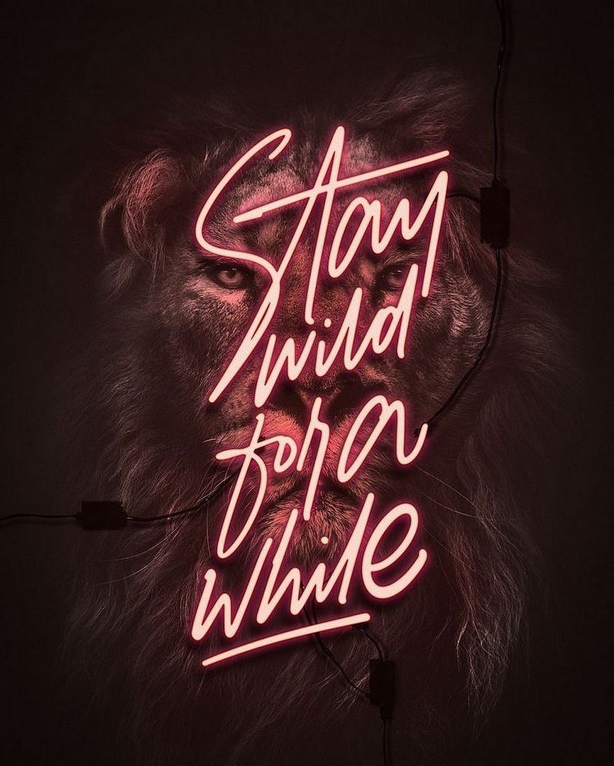 Stam Wild For a While Neon Sign
