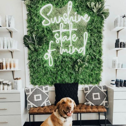 Sunshine State of Mind Neon Sign