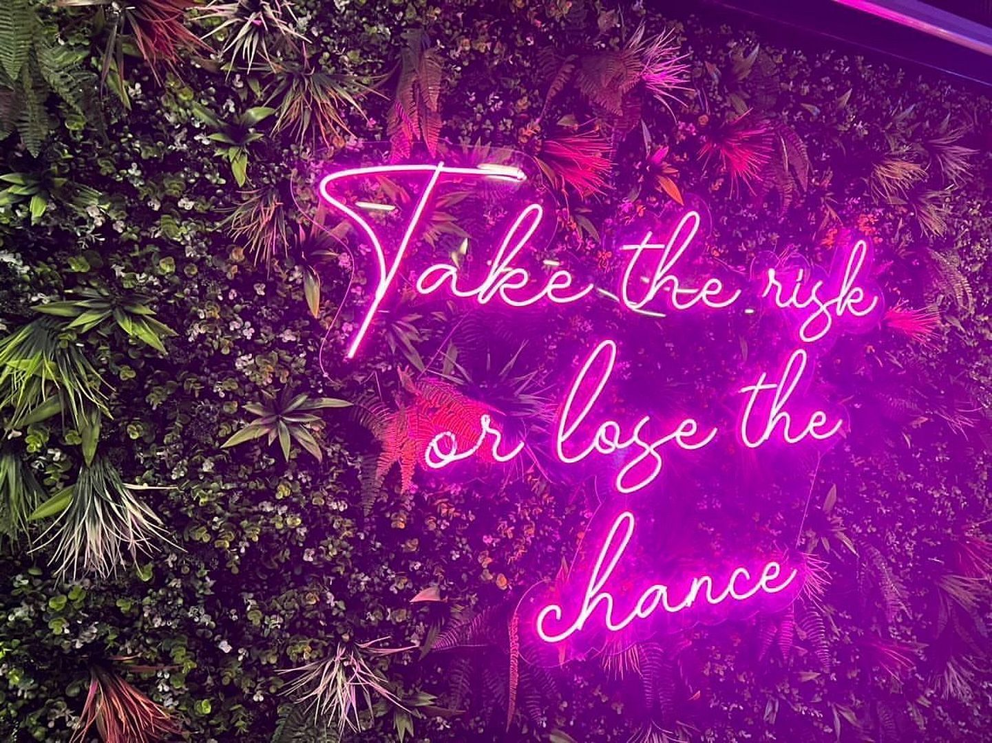 Take The Risk Or Lose The Chance Neon Sign