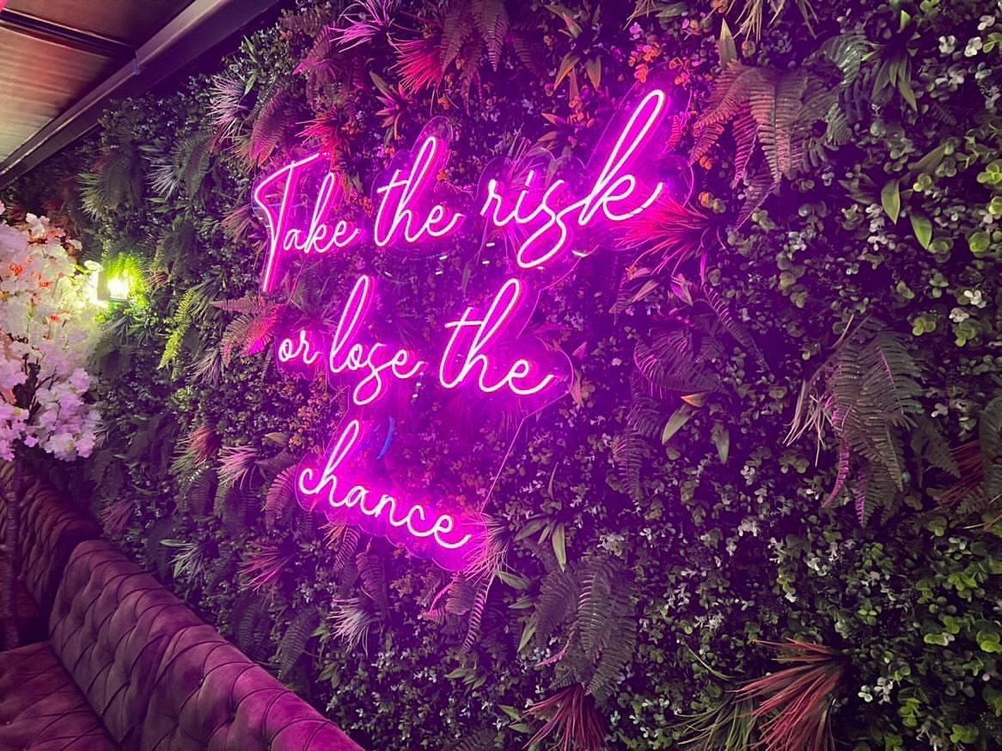 Take The Risk Or Lose The Chance Neon Sign