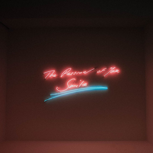 The Passion of Your Smile LED Neon Sign light up sign